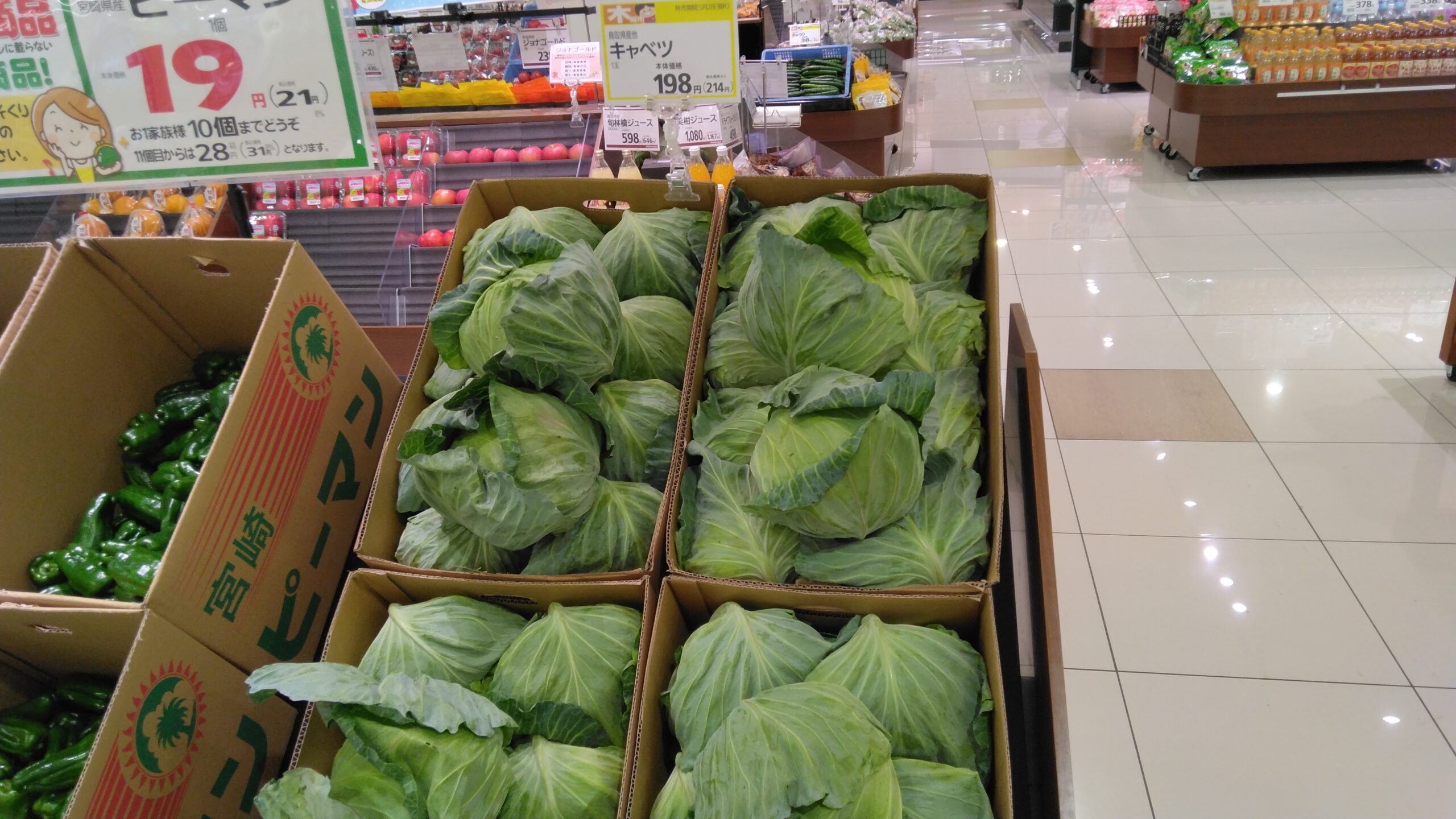 キャベツがお買い得です！ - 暮らしいきいき みしまや