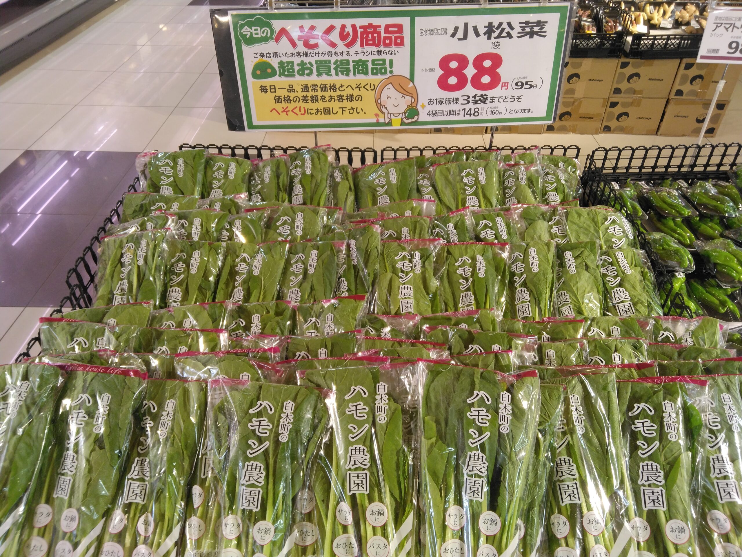 小松菜さま　専用 本日のおすすめは小松菜です。 - 暮らしいきいき みしまや